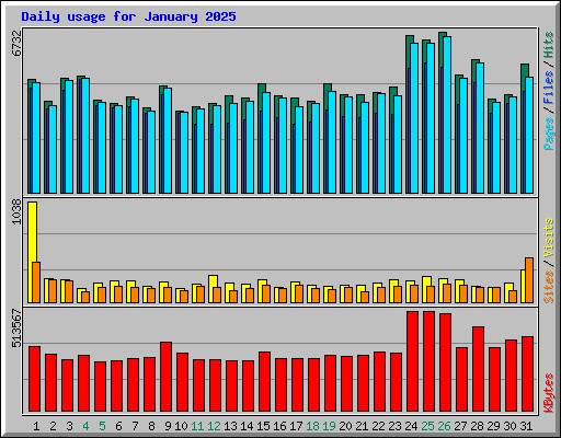 Daily usage for January 2025