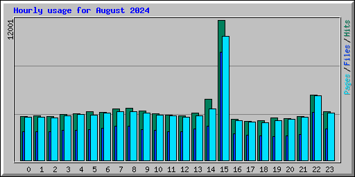 Hourly usage for August 2024