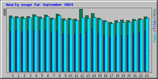 Hourly usage for September 2024