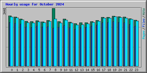 Hourly usage for October 2024