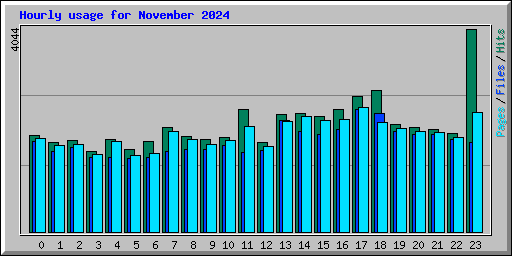 Hourly usage for November 2024