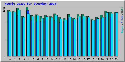 Hourly usage for December 2024