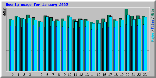 Hourly usage for January 2025