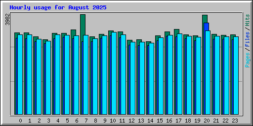 Hourly usage for August 2025