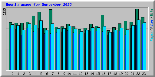 Hourly usage for September 2025